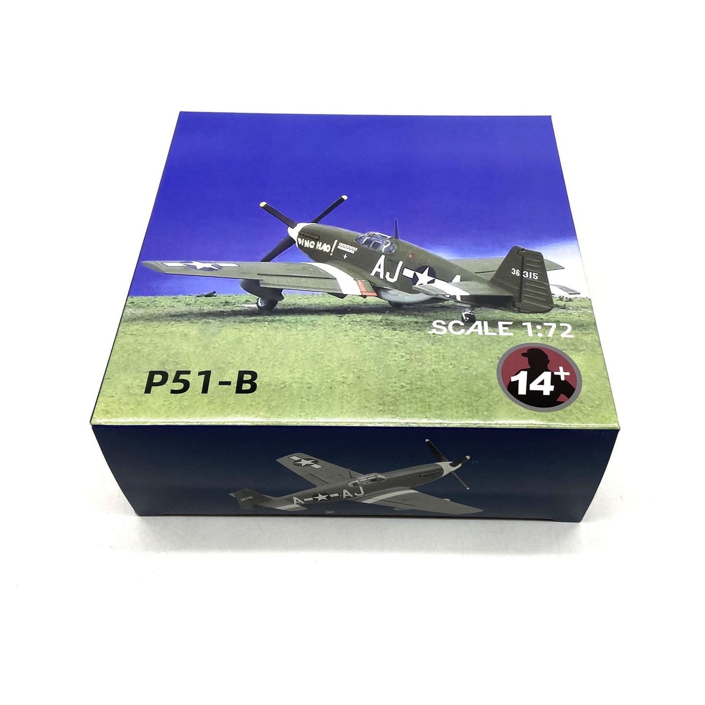 1/72 USA P-40b P-51B Aircraft Alloy Model Diecast